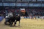 Extreme - 00548